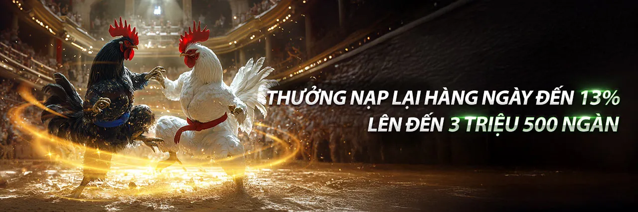 Cơ hội hợp tác và tăng trưởng tài chính cùng 9vnd link mới